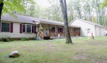 1081 Carlisle Drive Rose City, MI 48654
