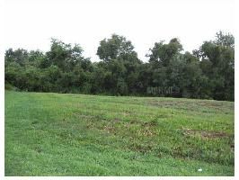 8 NEST COURT, Grand Island, FL 32735