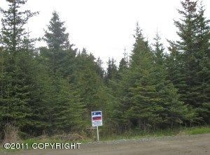 862 Ocean Drive Loop, Homer, AK 99603