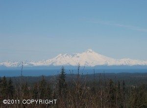 Tr 3 Forest Drive, Homer, AK 99603