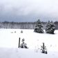 3135 Scholl Rd, Mancelona, MI 49659 ID:36318