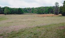 6750 NW HWY 320 Mc Intosh, FL 32664