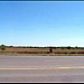 South 10Th St., Mcallen, TX 78501 ID:999879