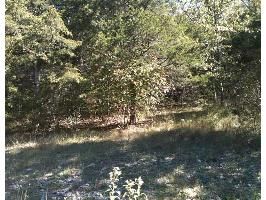 Lot 2 Valley Dr, Eureka Springs, AR 72631