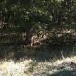 Lot 2 Valley Dr, Eureka Springs, AR 72631 ID:1162640