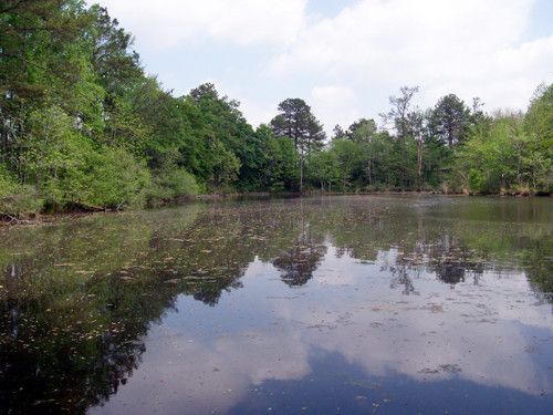 320 Cherokee Road, Winterville, GA 30683