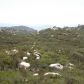 0000 Old Wagon Rd, Valley Center, CA 92082 ID:1964588