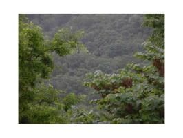 17 Dove Circle, Eureka Springs, AR 72631