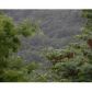 17 Dove Circle, Eureka Springs, AR 72631 ID:1162643