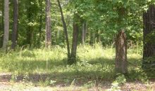 1726 Deerfield Farms Road Shady Dale, GA 31085