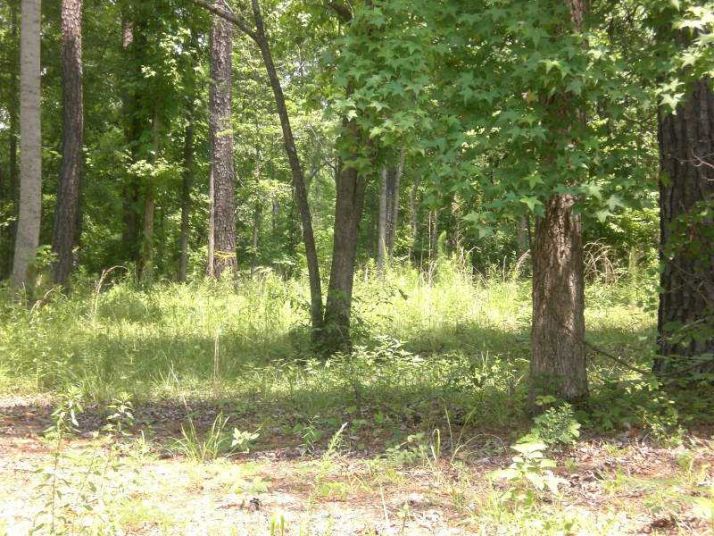 1726 Deerfield Farms Road, Shady Dale, GA 31085