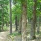 Mundell Road 3.5 Acres, Eureka Springs, AR 72631 ID:1167582