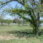 336 S Verbena Ave, Palo Pinto, TX 76484 ID:230009