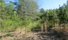 321 DUSTY TRAIL LN 3 ACRES Talladega, AL 35160