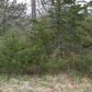 6 Rocky Top Cic, Eureka Springs, AR 72631 ID:1168191