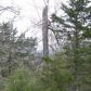 6 Rocky Top Cic, Eureka Springs, AR 72631 ID:1168193