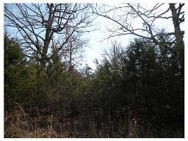 65 Bandy Dr, Eureka Springs, AR 72631