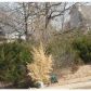 65 Bandy Dr, Eureka Springs, AR 72631 ID:1168077