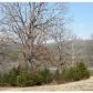 65 Bandy Dr, Eureka Springs, AR 72631 ID:1168079