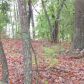 3 acres Mundell Rd, Eureka Springs, AR 72631 ID:1168083