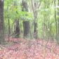 3 acres Mundell Rd, Eureka Springs, AR 72631 ID:1168084
