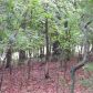 3 acres Mundell Rd, Eureka Springs, AR 72631 ID:1168085