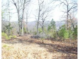 3 Smokey Ridge Ct, Eureka Springs, AR 72631