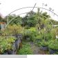 15380 SW 232ND ST, Miami, FL 33170 ID:7573201