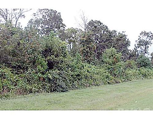 604 US 80 West, Bloomingdale, GA 31302