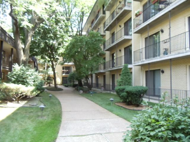 6221 N Niagara Ave Apt 508, Chicago, IL 60631