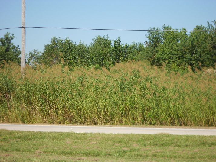HWY 23 BACK TOWARDS HWY 11, Empire, LA 70050