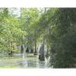 783 Hog Island Rd, Dry Prong, LA 71423 ID:3091785