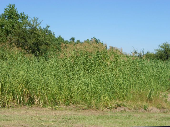 HWY 23 TOWARDS CANAL TRACT (C-3), Empire, LA 70050