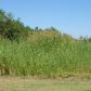 HWY 23 TOWARDS CANAL TRACT (C-3), Empire, LA 70050 ID:5383184