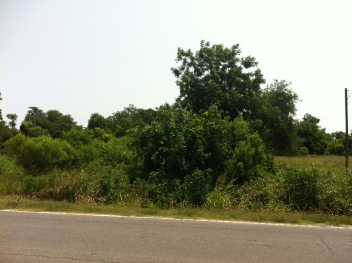 HWY 23 TO THE MARSH, Empire, LA 70050