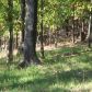 Summer Dr. Lot 2, Eureka Springs, AR 72631 ID:1168052
