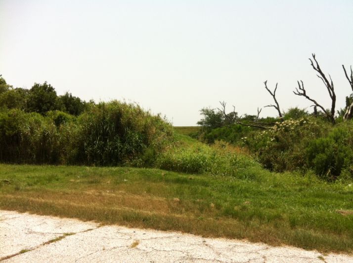 HWY 11 TO THE MISSISSIPPI RIVER, Empire, LA 70050