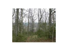 8 Rocky Top Cir, Eureka Springs, AR 72631