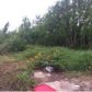 167 BOUZON LANE, Buras, LA 70041 ID:1798375