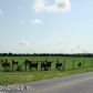 5000 CRACKER SWAMP RD, Hastings, FL 32145 ID:7720386