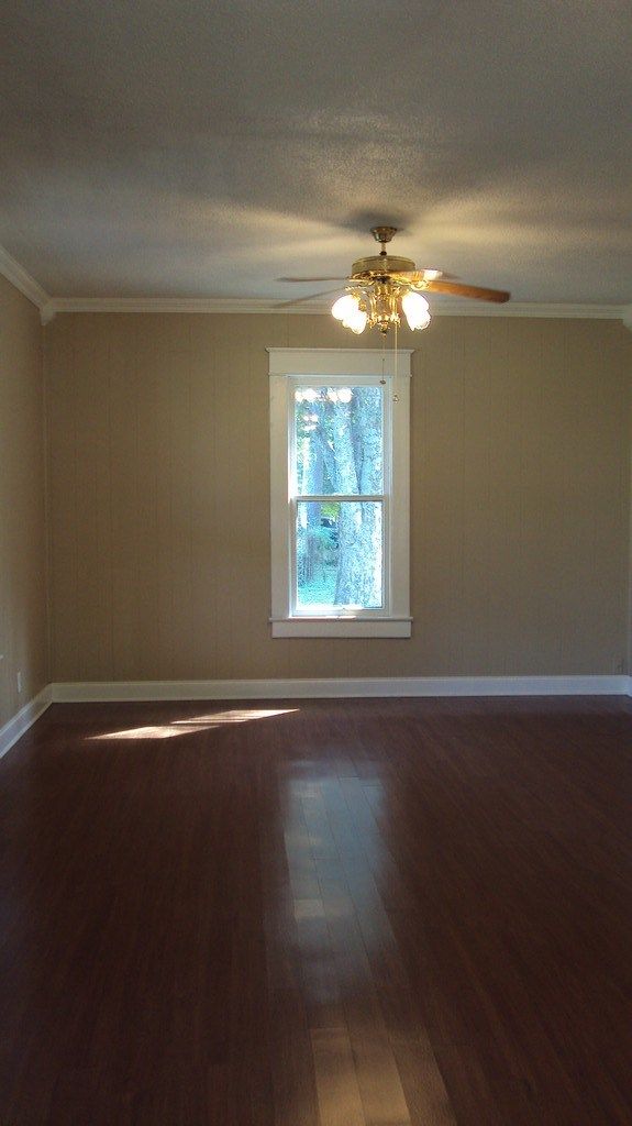 11652 CR 71, Lexington, AL 35648