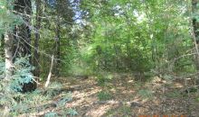 40 acres off Hwy 164 Hagarville, AR 72839