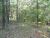 20 acres Off Hwy 164 Hagarville, AR 72839