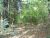 40 acres off Hwy 164 Hagarville, AR 72839