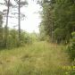 53.68 Acres, Rover, AR 72860 ID:1153313