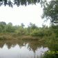 53.68 Acres, Rover, AR 72860 ID:1153315