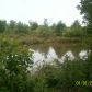 53.68 Acres, Rover, AR 72860 ID:1153318