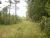 53.68 Acres Rover, AR 72860