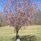 157 RICHMOND ROAD, Castleton, VA 22716 ID:1239136