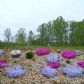 157 RICHMOND ROAD, Castleton, VA 22716 ID:1239138